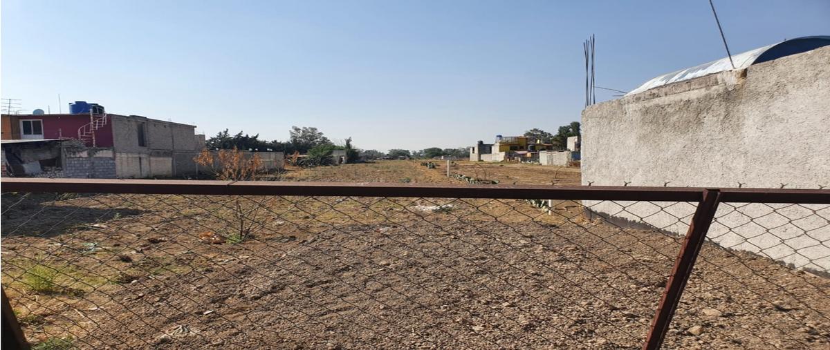 Foto de terreno habitacional en , vicente riva palacio, texcoco, méxico, 0 foto 02 Foto de terreno habitacional en renta en , vicente riva palacio, texcoco, méxico, 0 No. 02