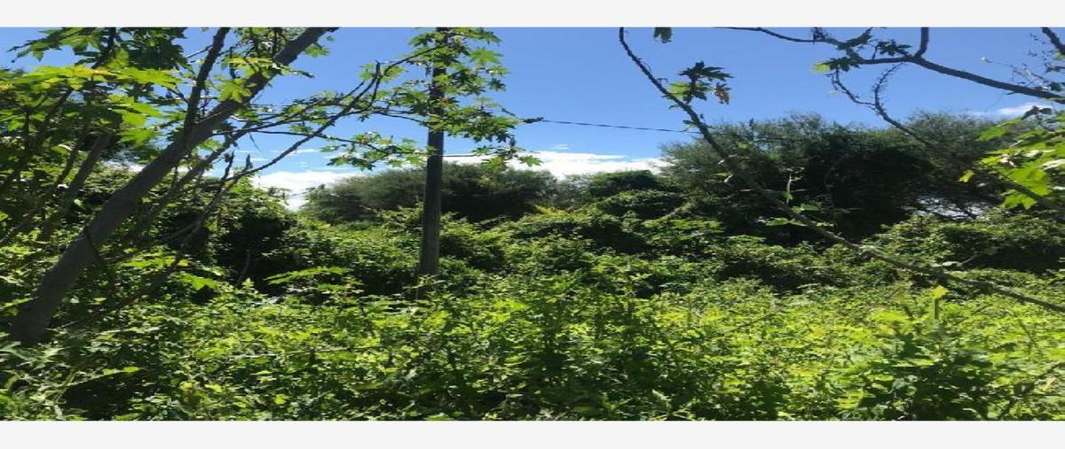 Foto de terreno habitacional en venta en vicente ruiz 3, atotonilco el bajo, villa corona, jalisco, 0 No. 02