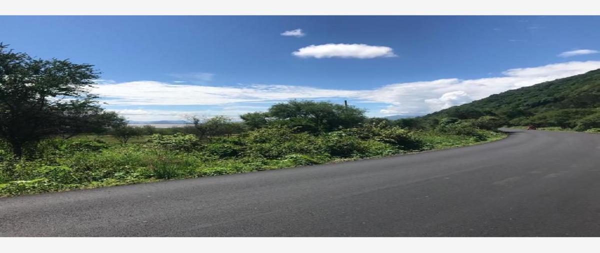 Foto de terreno habitacional en venta en vicente ruiz 3, atotonilco el bajo, villa corona, jalisco, 0 No. 03