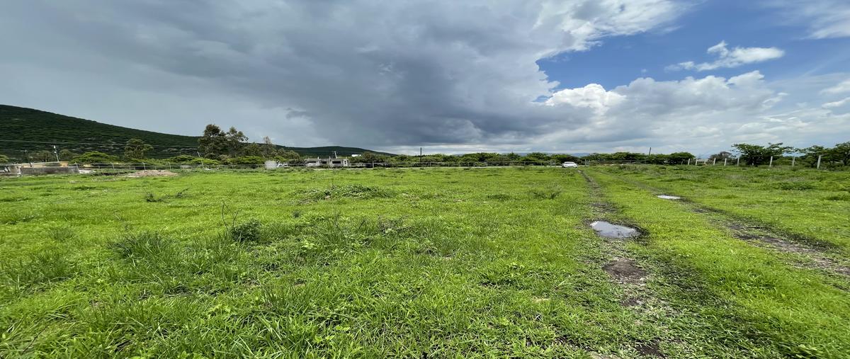 Foto de terreno habitacional en vicente suarez , estancia de la rochera, querétaro, querétaro, 28402383 foto 04 Foto de terreno habitacional en venta en vicente suarez , estancia de la rochera, querétaro, querétaro, 28402383 No. 04