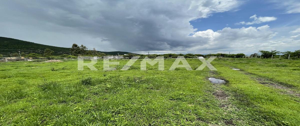 Foto de terreno habitacional en venta en vicente suarez , estancia de la rochera, querétaro, querétaro, 28402383 No. 04