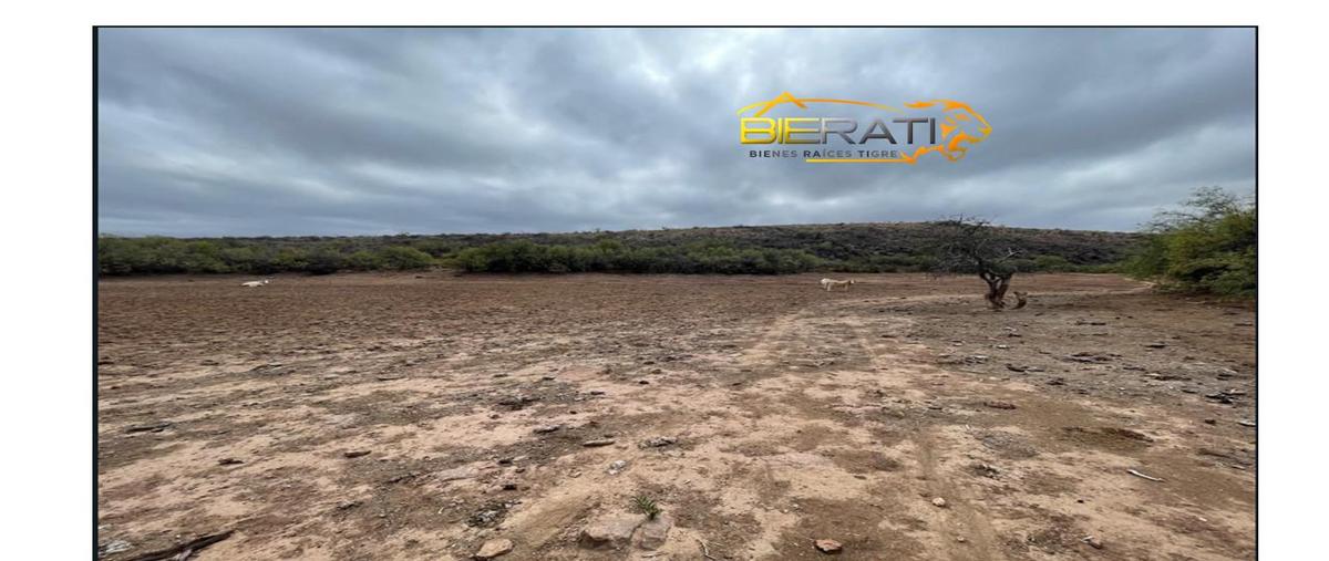 Foto de rancho en venta en  , victor rosales, rosales, chihuahua, 0 No. 04