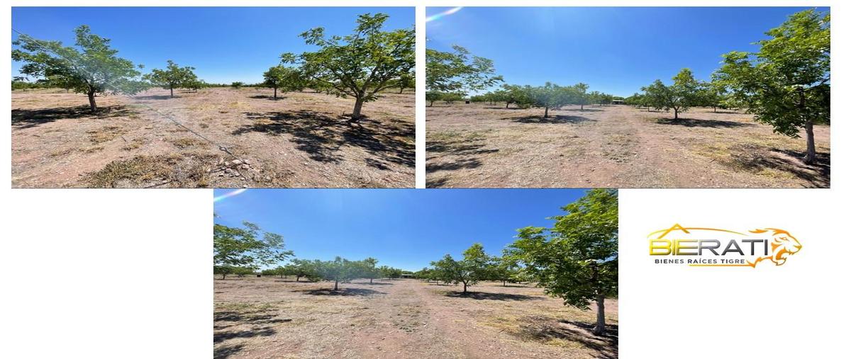 Foto de terreno habitacional en venta en  , victor rosales, rosales, chihuahua, 28334888 No. 03