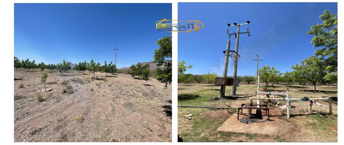 Foto de terreno habitacional en venta en  , victor rosales, rosales, chihuahua, 28334888 No. 04