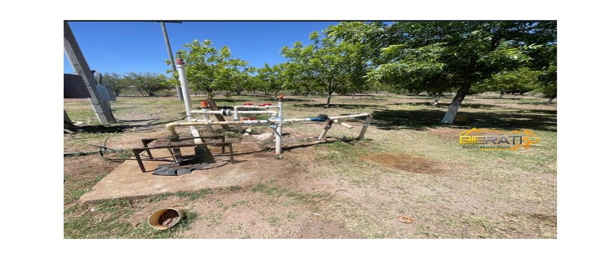 Foto de terreno habitacional en venta en  , victor rosales, rosales, chihuahua, 28334888 No. 05