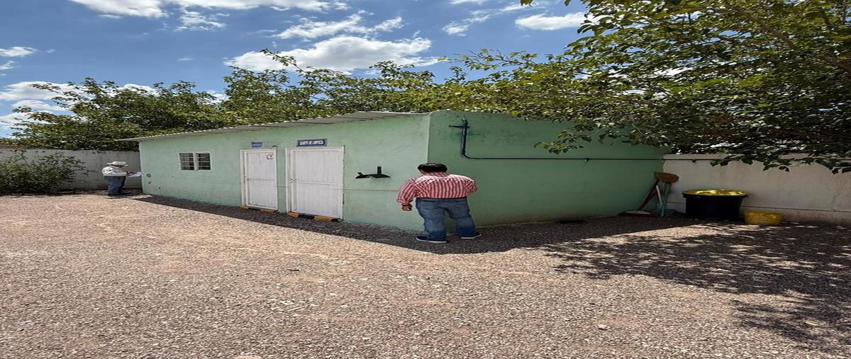 Foto de terreno habitacional en venta en  , victor rosales, rosales, chihuahua, 0 No. 04