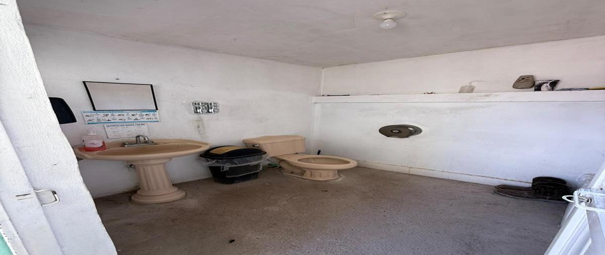 Foto de terreno habitacional en venta en  , victor rosales, rosales, chihuahua, 0 No. 05