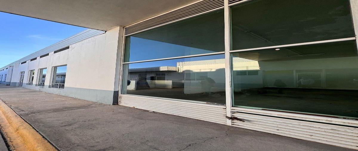 Foto de edificio en renta en  , victoria de durango, durango, durango, 0 No. 05
