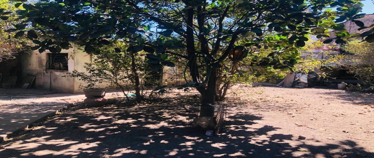 Foto de terreno habitacional en victoria oriente , tepic centro, tepic, nayarit, 0 foto 04 Foto de terreno habitacional en venta en victoria oriente , tepic centro, tepic, nayarit, 0 No. 04