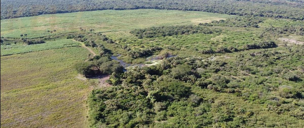 Foto de rancho en venta en  , victoria, victoria, tamaulipas, 26581407 No. 03