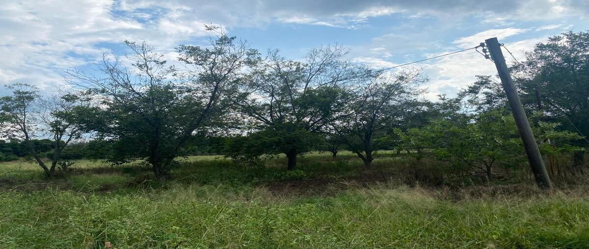Foto de terreno habitacional en venta en vidal vela , los palmitos, cadereyta jiménez, nuevo león, 28746227 No. 02