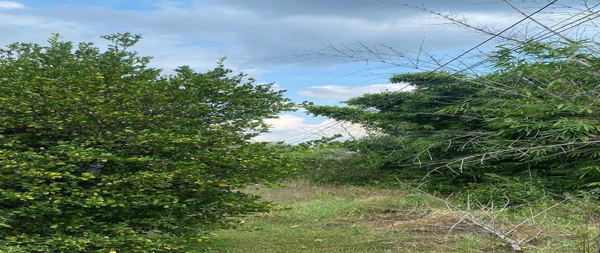 Foto de terreno habitacional en venta en vidal vela , los palmitos, cadereyta jiménez, nuevo león, 28746227 No. 04