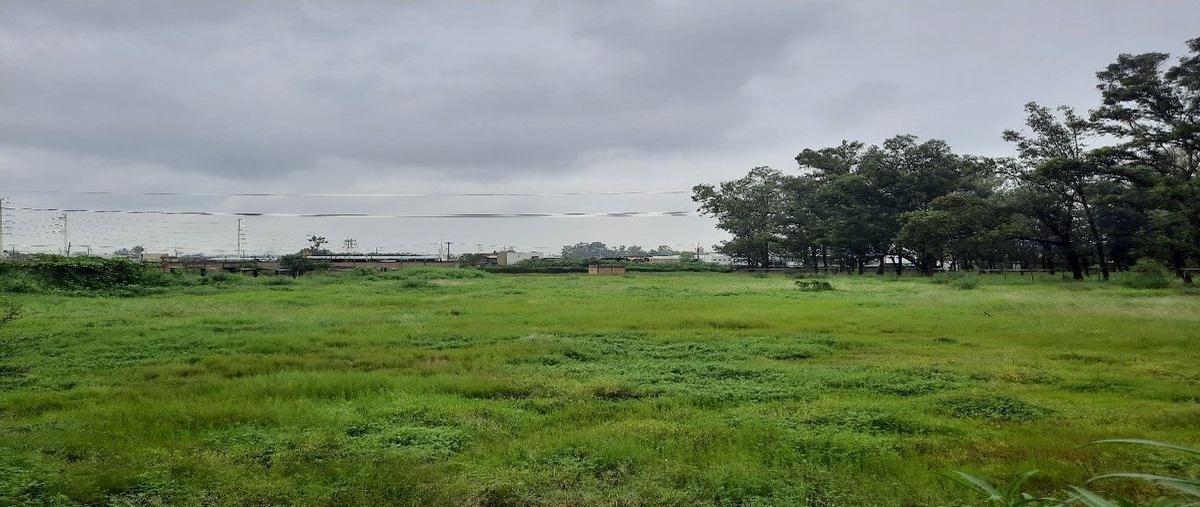 Foto de bodega en venta en vieja a san martin de las flores , san jose el verde centro, el salto, jalisco, 23261037 No. 05