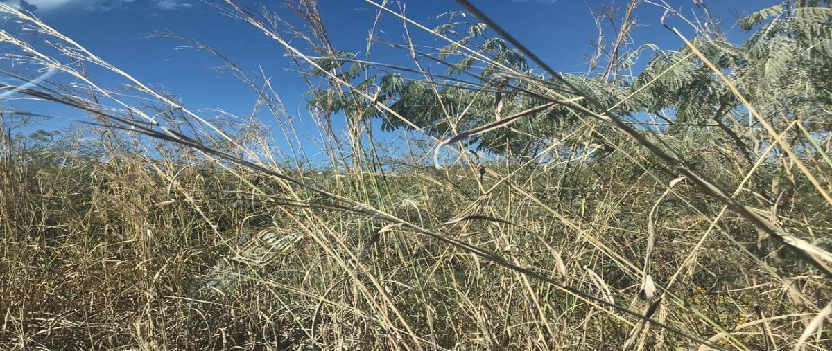 Foto de terreno habitacional en venta en viejo camino a copoya , terán, tuxtla gutiérrez, chiapas, 18366958 No. 05