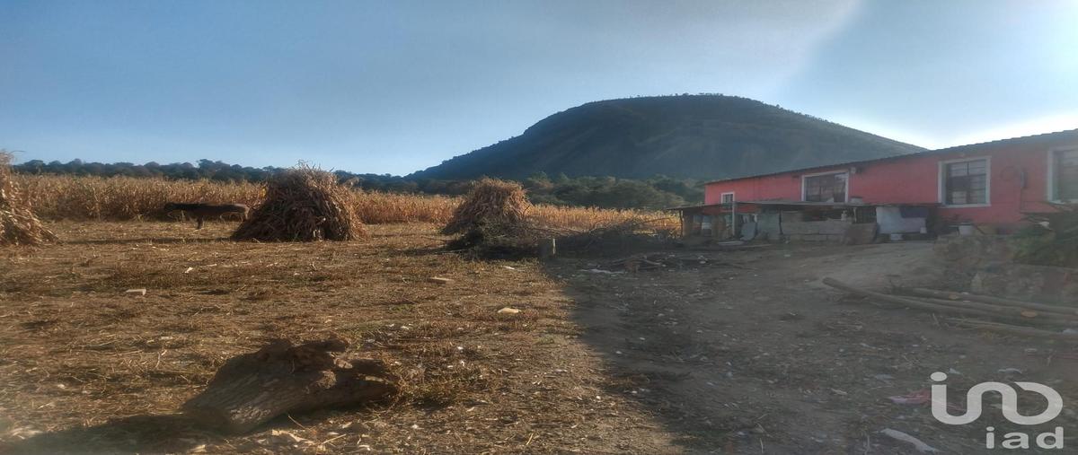 Foto de terreno comercial en venta en viejo camino al tenayo , tlalmanalco de velázquez, tlalmanalco, méxico, 30555686 No. 03