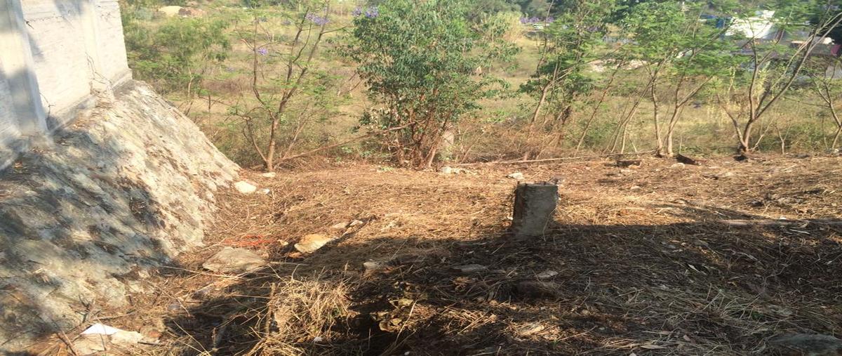 Foto de terreno habitacional en venta en viena , san felipe del agua 1, oaxaca de juárez, oaxaca, 24834536 No. 05