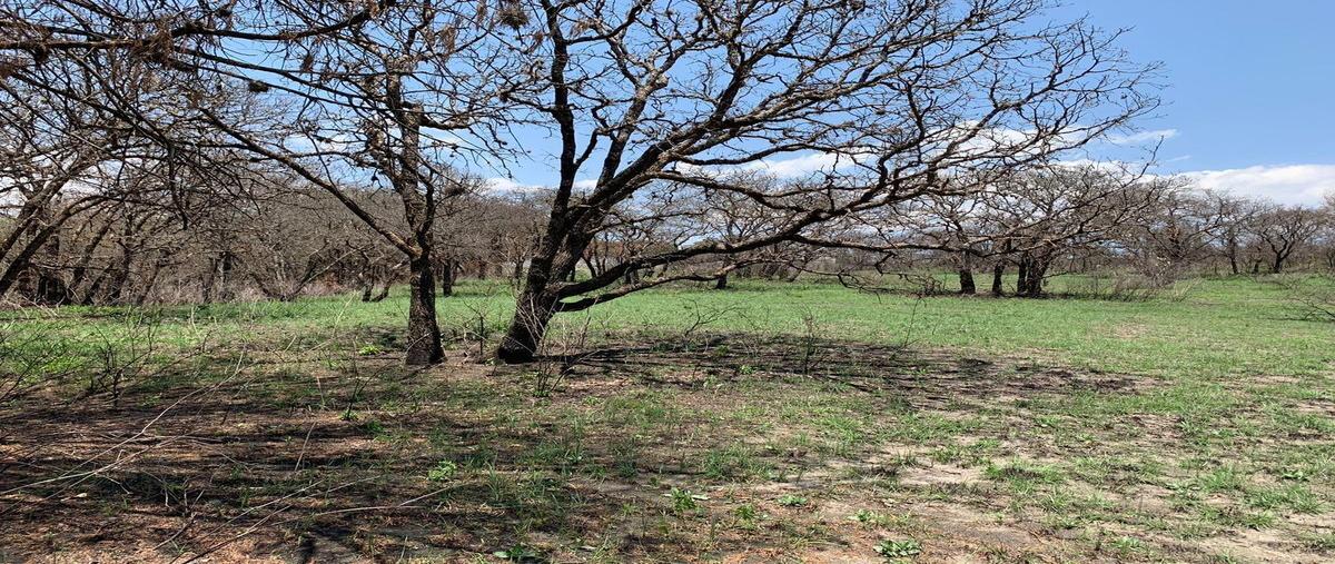 Foto de terreno habitacional en venta en villa alondra , campestre haras, amozoc, puebla, 27383689 No. 03