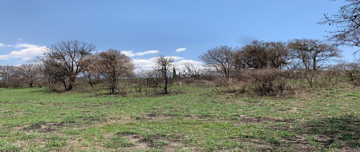 Foto de terreno habitacional en venta en villa alondra , campestre haras, amozoc, puebla, 27383689 No. 05