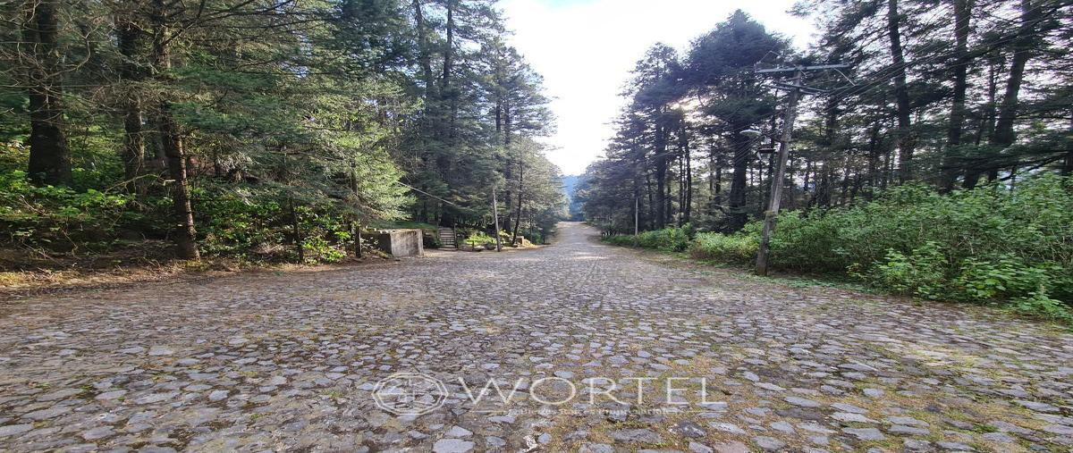 Foto de terreno habitacional en venta en villa alpina , villa alpina, naucalpan de juárez, méxico, 27607611 No. 05