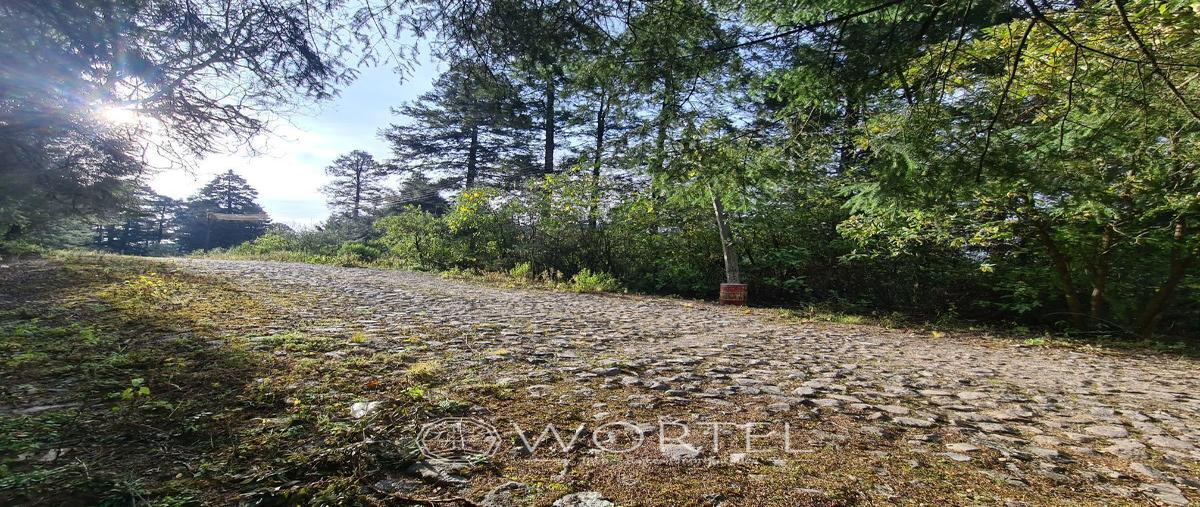 Foto de terreno habitacional en venta en villa alpina , villa alpina, naucalpan de juárez, méxico, 27607612 No. 05