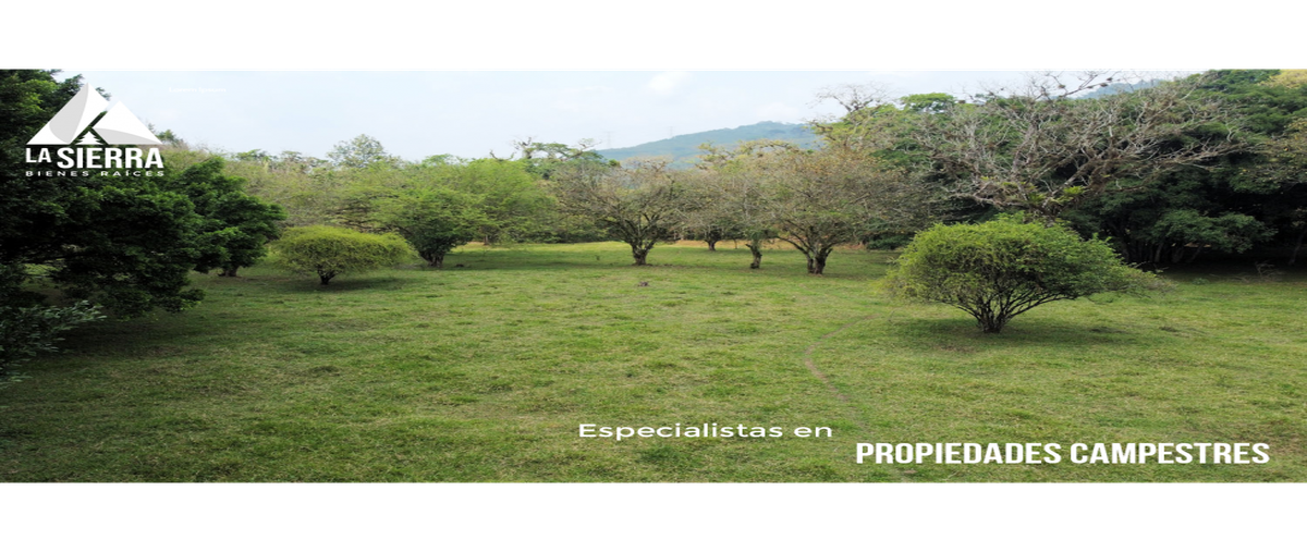 Foto de terreno habitacional en , villa avila camacho (la ceiba), xicotepec, puebla, 0 foto 01 Foto de terreno habitacional en venta en , villa avila camacho (la ceiba), xicotepec, puebla, 0 No. 01