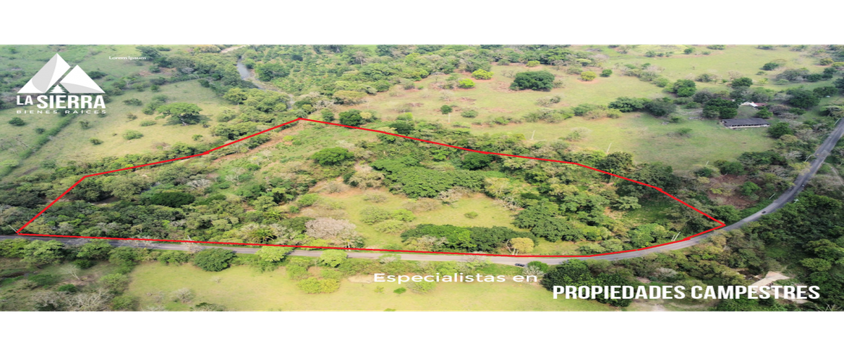 Foto de terreno habitacional en , villa avila camacho (la ceiba), xicotepec, puebla, 0 foto 03 Foto de terreno habitacional en venta en , villa avila camacho (la ceiba), xicotepec, puebla, 0 No. 03