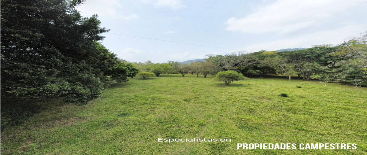 Foto de terreno habitacional en , villa avila camacho (la ceiba), xicotepec, puebla, 0 foto 04 Foto de terreno habitacional en venta en , villa avila camacho (la ceiba), xicotepec, puebla, 0 No. 04