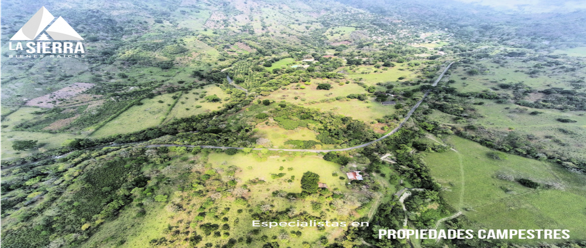 Foto de terreno habitacional en , villa avila camacho (la ceiba), xicotepec, puebla, 0 foto 05 Foto de terreno habitacional en venta en , villa avila camacho (la ceiba), xicotepec, puebla, 0 No. 05