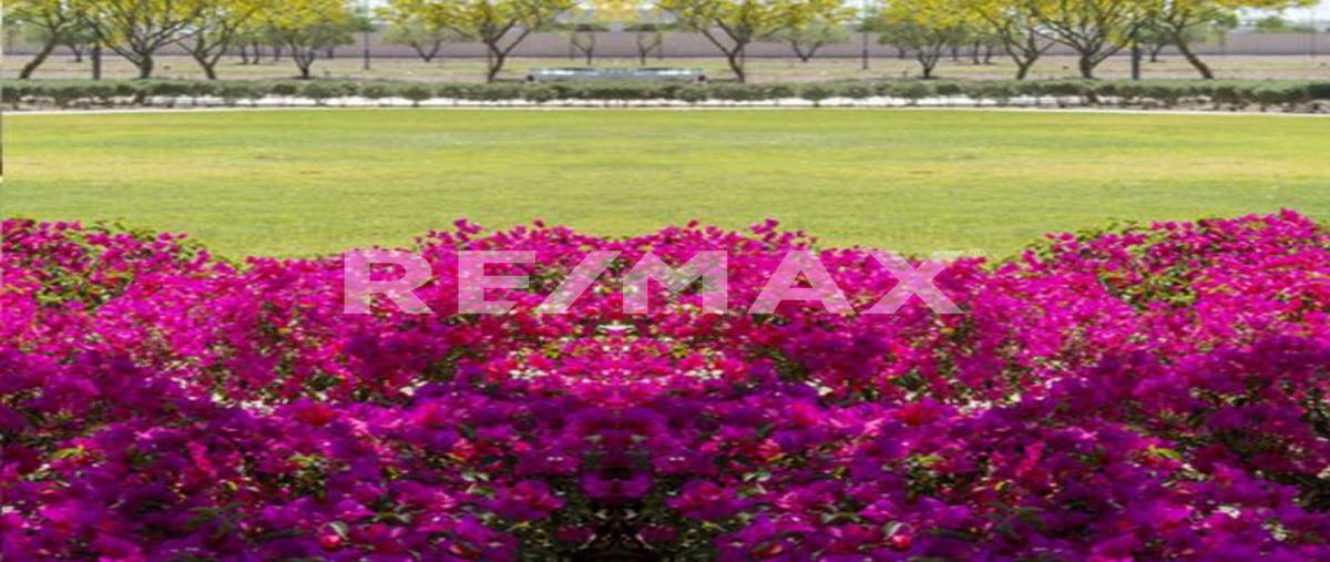 Foto de terreno habitacional en venta en villa bugambilias (el cardenchal) , el cardenchal, torreón, coahuila de zaragoza, 29241087 No. 03