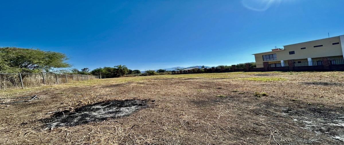 Foto de terreno comercial en venta en  , villa corona centro, villa corona, jalisco, 27700375 No. 03