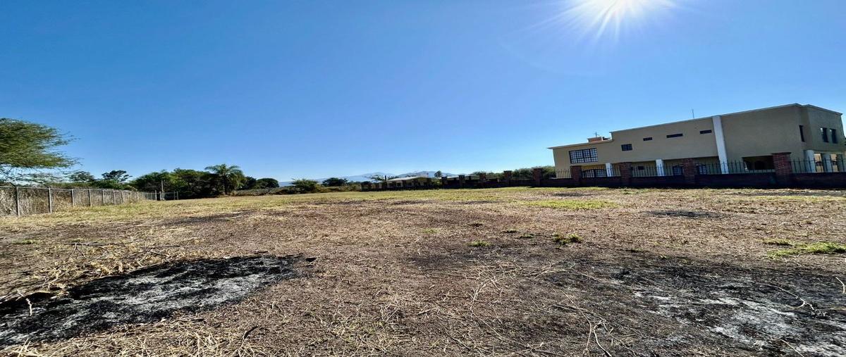 Foto de terreno comercial en venta en  , villa corona centro, villa corona, jalisco, 27700375 No. 04