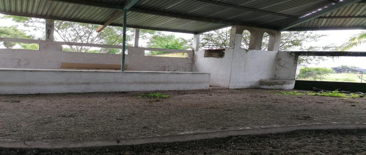 Foto de terreno habitacional en venta en  , villa corona centro, villa corona, jalisco, 0 No. 04