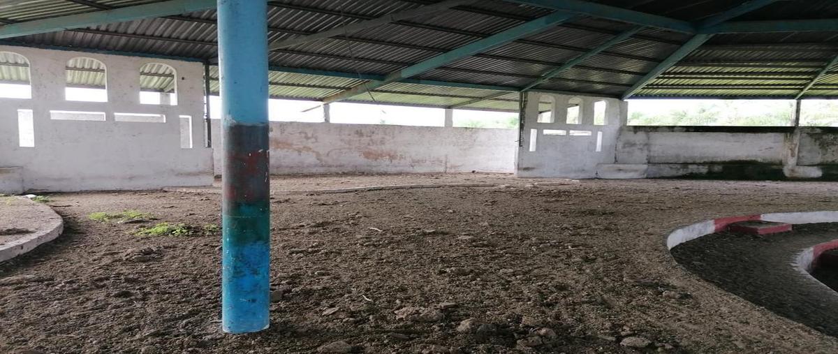 Foto de terreno habitacional en venta en  , villa corona centro, villa corona, jalisco, 0 No. 05