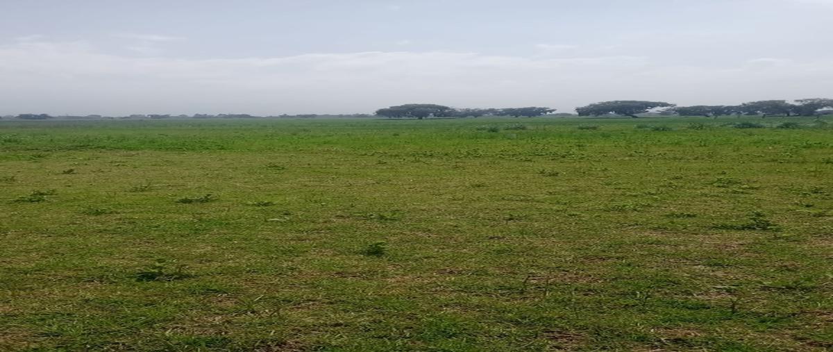 Foto de terreno habitacional en venta en  , villa cuauhtémoc, otzolotepec, méxico, 26691989 No. 03