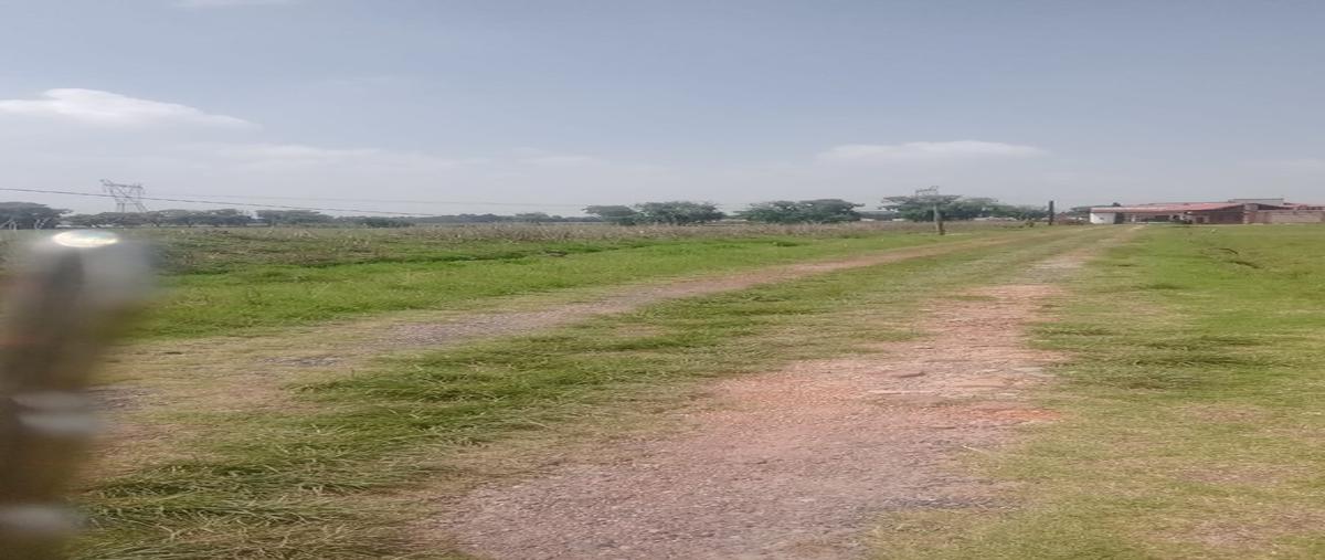 Foto de terreno habitacional en venta en  , villa cuauhtémoc, otzolotepec, méxico, 26691989 No. 04