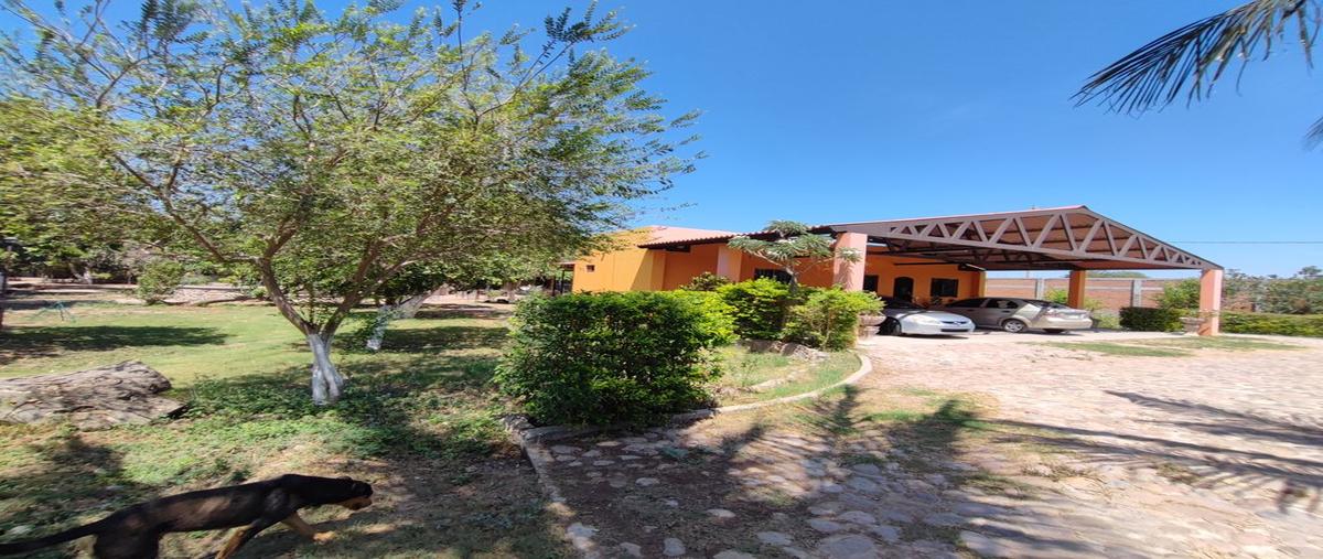 Foto de rancho en venta en villa de ahome, ahome, sinaloa , ahome independencia, ahome, sinaloa, 0 No. 02