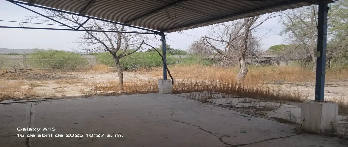 Foto de rancho en venta en  , villa de guadalupe, lerdo, durango, 30337370 No. 04