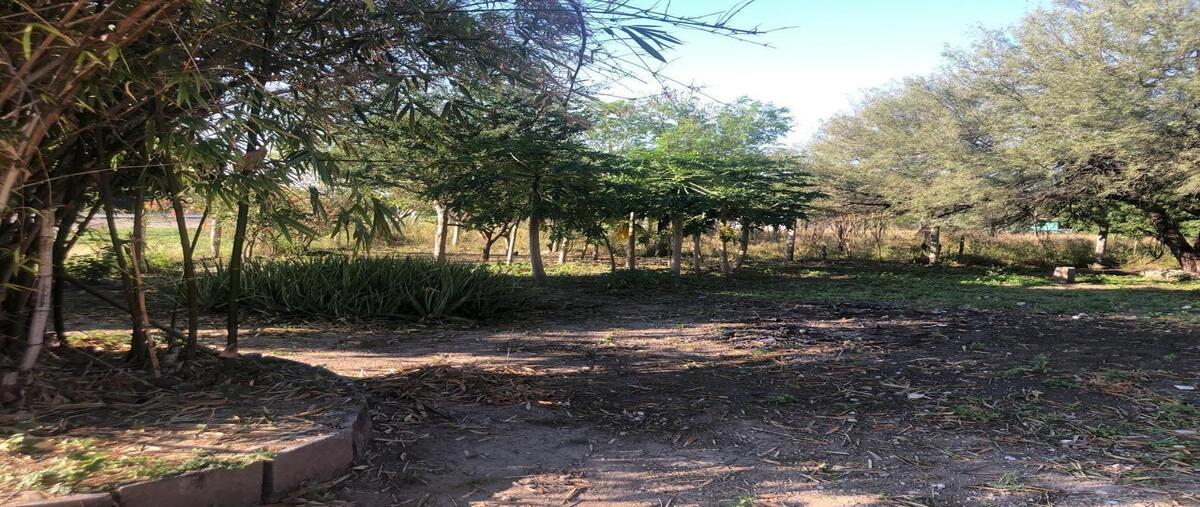 Foto de terreno habitacional en venta en  , villa de guemez, güémez, tamaulipas, 29218734 No. 05