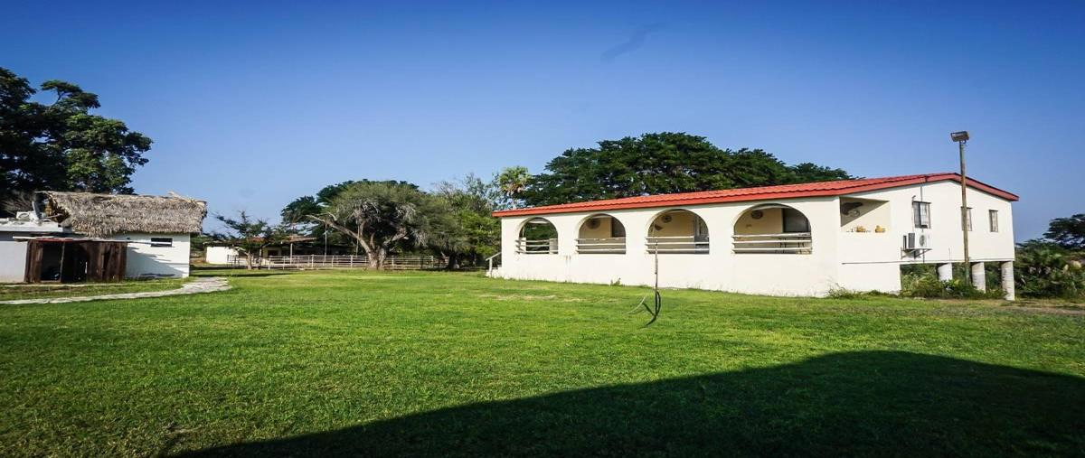 Foto de terreno habitacional en venta en  , villa de guemez, güémez, tamaulipas, 30124564 No. 04