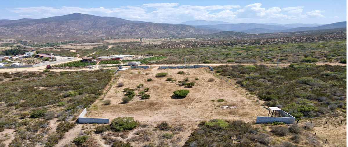 Foto de terreno habitacional en venta en  , villa de juárez, ensenada, baja california, 28554485 No. 03