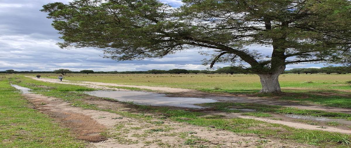 Foto de terreno habitacional en , villa de las flores, tetla de la solidaridad, tlaxcala, 18615458 foto 02 Foto de terreno habitacional en venta en , villa de las flores, tetla de la solidaridad, tlaxcala, 18615458 No. 02