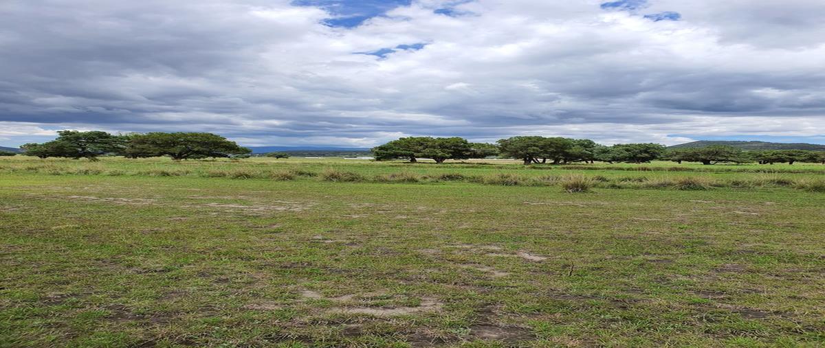 Foto de terreno habitacional en , villa de las flores, tetla de la solidaridad, tlaxcala, 18615458 foto 03 Foto de terreno habitacional en venta en , villa de las flores, tetla de la solidaridad, tlaxcala, 18615458 No. 03
