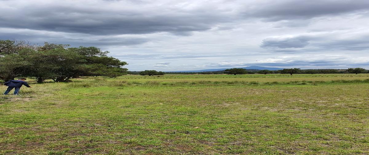 Foto de terreno habitacional en , villa de las flores, tetla de la solidaridad, tlaxcala, 18615458 foto 04 Foto de terreno habitacional en venta en , villa de las flores, tetla de la solidaridad, tlaxcala, 18615458 No. 04