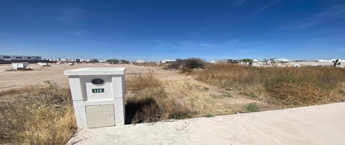 Foto de terreno habitacional en venta en  , villa de pozos, san luis potosí, san luis potosí, 0 No. 04
