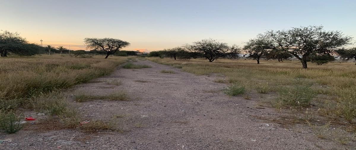 Foto de terreno habitacional en villa de pozos , villa de pozos, san luis potosí, san luis potosí, 0 foto 02 Foto de terreno habitacional en renta en villa de pozos , villa de pozos, san luis potosí, san luis potosí, 0 No. 02