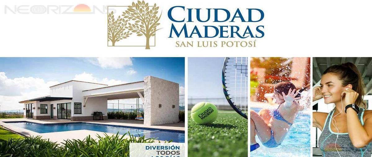 Foto de terreno habitacional en venta en  , villa de reyes, villa de reyes, san luis potosí, 27387180 No. 05