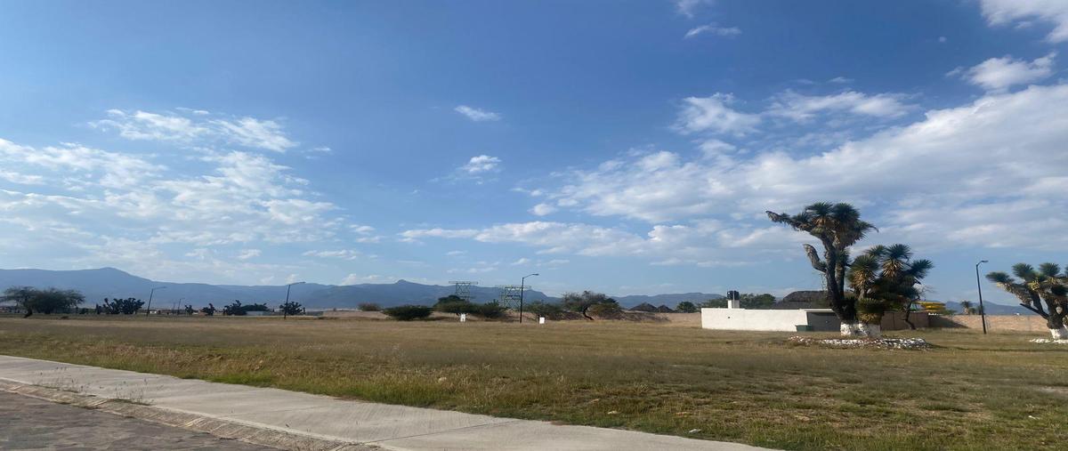 Foto de terreno habitacional en venta en  , villa de reyes, villa de reyes, san luis potosí, 28817357 No. 04