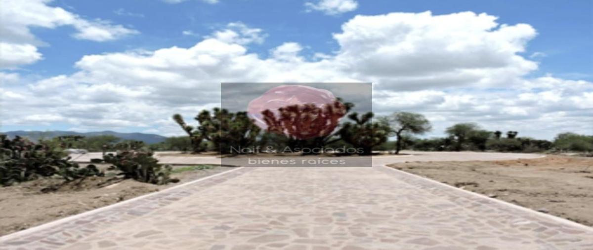 Foto de terreno habitacional en venta en  , villa de reyes, villa de reyes, san luis potosí, 0 No. 05
