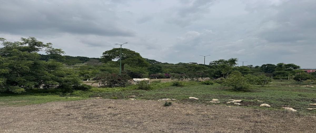 Foto de casa en venta en villa de santa cruz , candelaria, berriozábal, chiapas, 0 No. 05