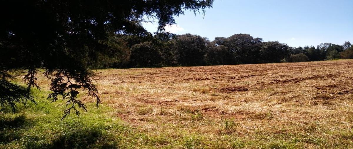 Foto de terreno habitacional en venta en  , villa del carbón, villa del carbón, méxico, 27702325 No. 04